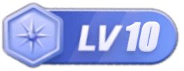 等级-LV10-美琪网络